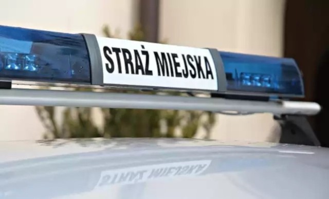 Sprawca pobicia, 30-latek bez stałego miejsca zamieszkania, trafił w ręce policjantów. Pokrzywdzony został zabrany przez pogotowie do szpitala.Zobacz kolejne zdjęcia. Przesuwaj zdjęcia w prawo - naciśnij strzałkę lub przycisk NASTĘPNE