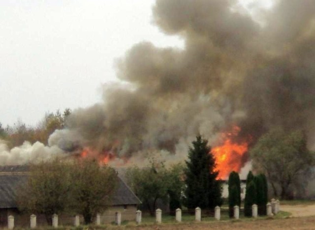 Ogień trawił murowany kurnik we wsi Gieniusze.
