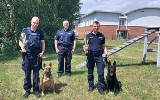 Policjant z Sieradza z psem Ramą najlepsi w województwie łódzkim ZDJĘCIA