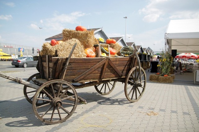 Kramy czekają na gości, na stołach obrusy, wszystko gotowe na rozpoczęcie świętowania.