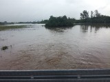 Połowa upraw w gminie Solec - Zdrój zalana i zniszczona. Jaka pomoc? 