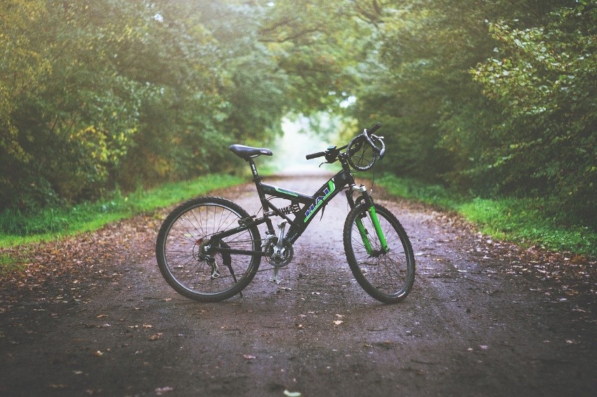 Jesienna aura sprzyja aktywności fizycznej. Może na rower?