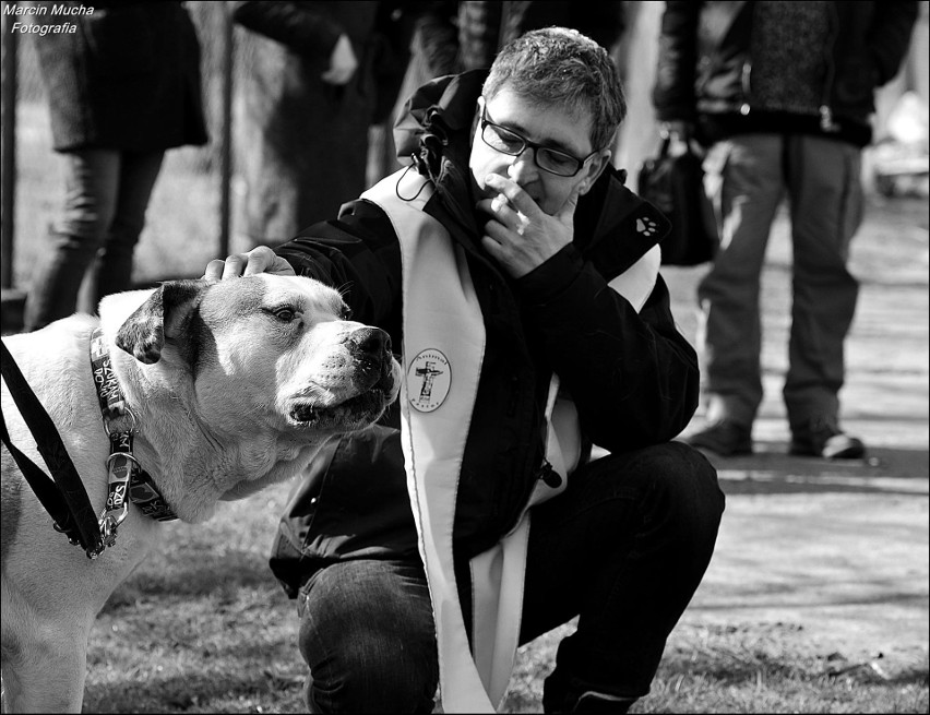 Animalpastor w Krakowie. Tomasz Jaeschke opowie o ważnej roli zwierząt