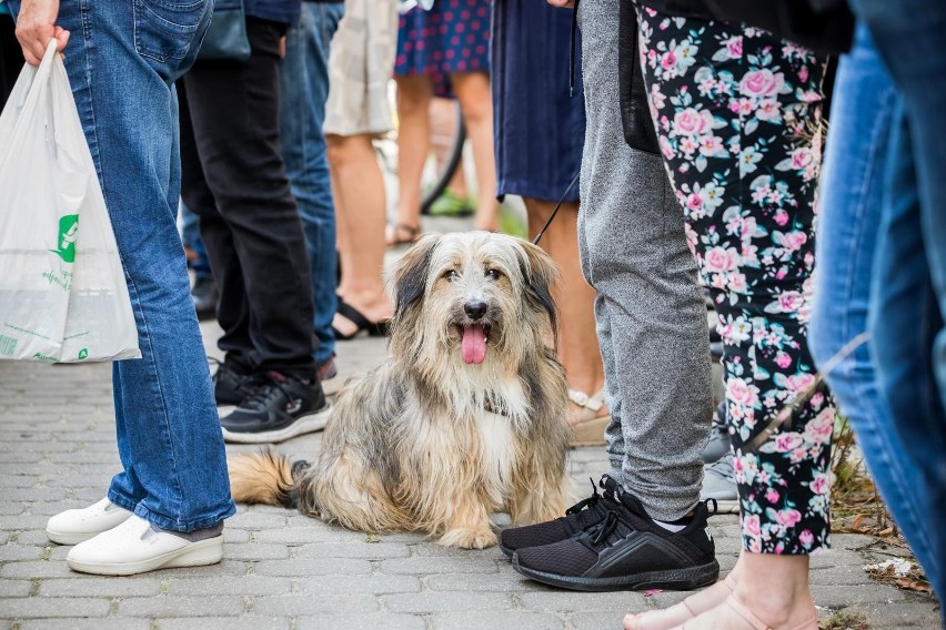 Jedną z atrakcji 5. edycji „Jedno Miasto Trzy Kultury” była...