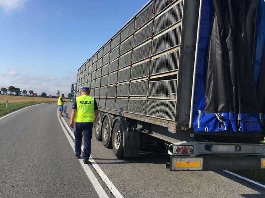 Wypadek w Starym Polu na drodze krajowej nr 22 z udziałem trzech samochodów 26.07. Dwie osoby zostały zabrane do szpitala 