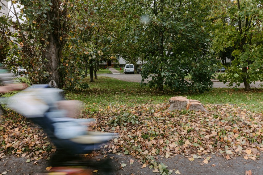 W związku z przebudową skrzyżowania, przy ul. Lwowskiej w...