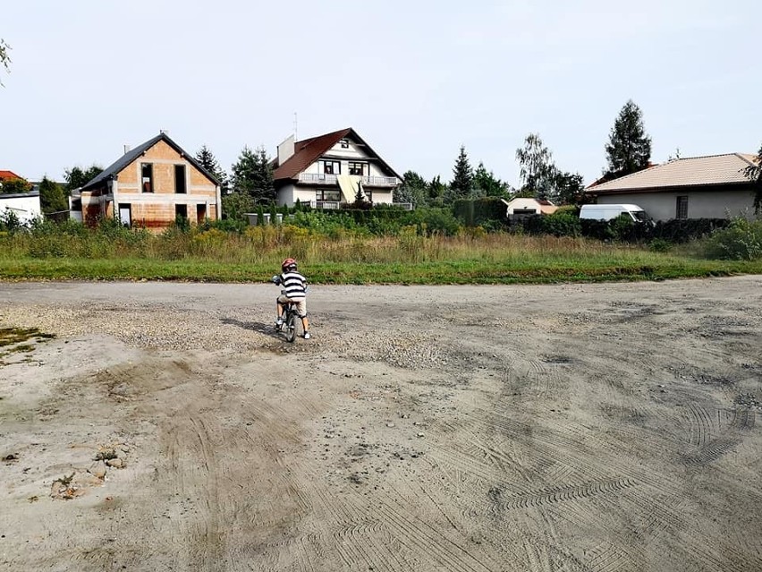 Pabianice. Nowy projekt ekologiczny na Zatorzu. Zamieszkają tu... pszczoły. W planach jest też park