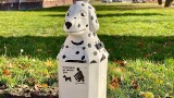 Nowe śmietniki na psie odchody, tak zwane "dalmatyńczyki"  pojawiły się w Starachowicach. Zobaczcie zdjęcia