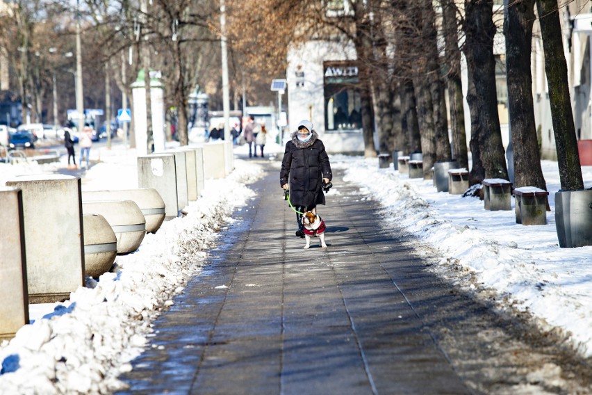 Kraków. Na spacer i sanki w święto zakochanych. Wyjrzało słońce i mieszkańcy wybrali się do parków [ZDJĘCIA]