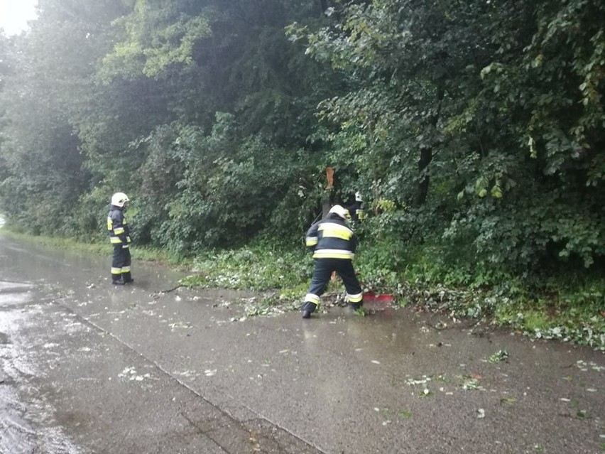 Strażacy walczą z powalonymi drzewami. Skutki opadów i porywów wiatru