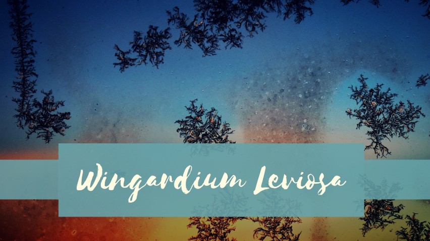 Wingardium Leviosa...