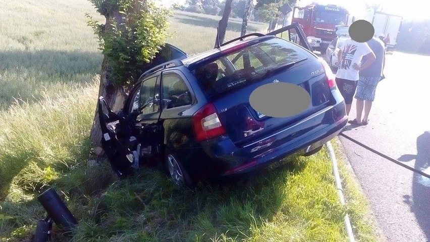 Wypadek na krajowej "6" pod Kołobrzegiem. Samochód uderzył w drzewo [zdjęcia]