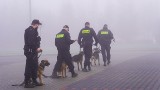 Podlaskie. Szkolenie psów policyjnych w Łomży, Wysokiem Mazowieckiem i Bielsku Podlaskim [ZDJĘCIA]