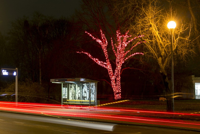 Nowe iluminacje świąteczne w Słupsku to pomysł władz miasta. Co o tym myślicie? (zdjęcia)