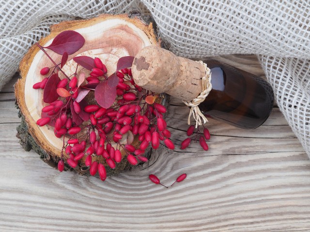 Nalewka z berberysu to aromatyczny trunek, który wspiera odporność i układ pokarmowy. Dawka lecznicza tej owocowej mikstury to 50 ml dziennie.
