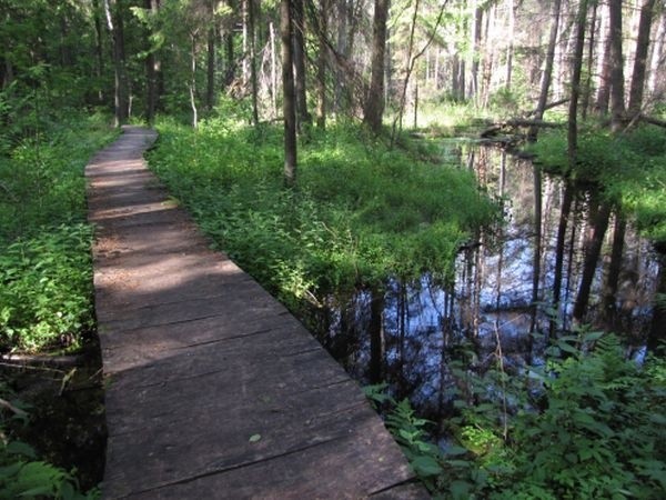 Przez rezerwat Krzemianka prowadzi 1700 metrowej długości drewniana kładka.