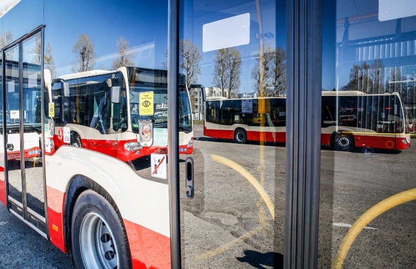 Więcej kursów autobusów nr 115, korekty na liniach 156, 164,...