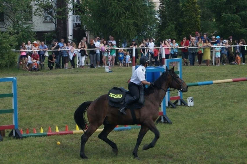 Turniej policji konnej w Częstochowie wyniki