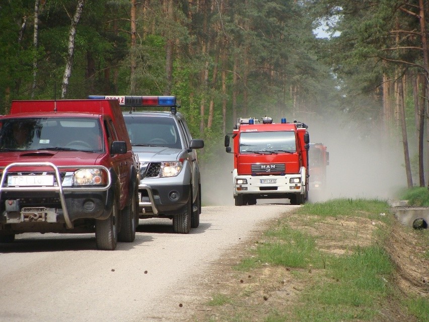 Manewry strażaków "Las 2016" w Michałowie 