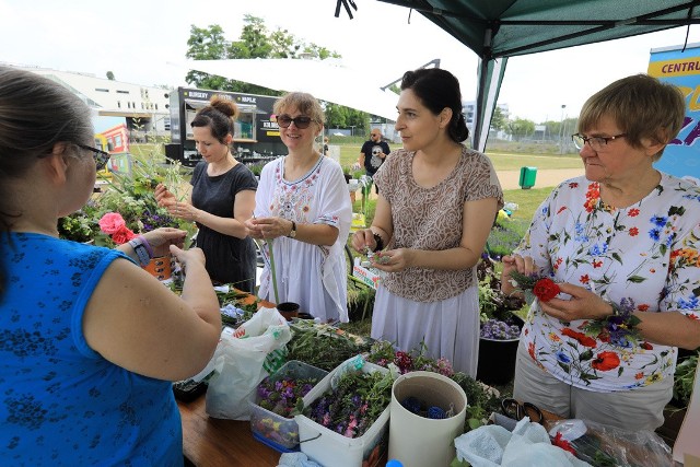 Impreza na plaży nad Wisłą została zorganizowana z okazji Dnia Ochrony Środowiska. Wśród atrakcji były warsztaty ekologiczno-plastyczne, kokedama - japońska sztuka uprawy roślin.