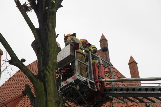 Najpierw wiatr zerwał dach na jednym z budynków w Chełmnie, potem poluzował elementy pokrycia dachu na kolejnych obiektach, a dziś połamał drzewa przy Szkole Podstawowej nr 1