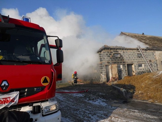 Budynek inwentarski spalił się doszczętnie. Zwierzęta wyprowadzono.