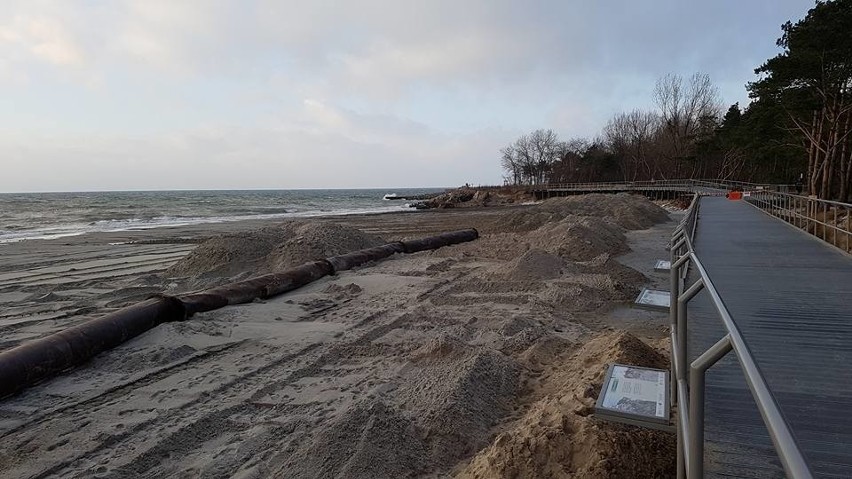 Przybywa Polski. Urząd Morski na cyplu usypał plażę [ZDJĘCIA, WIDEO