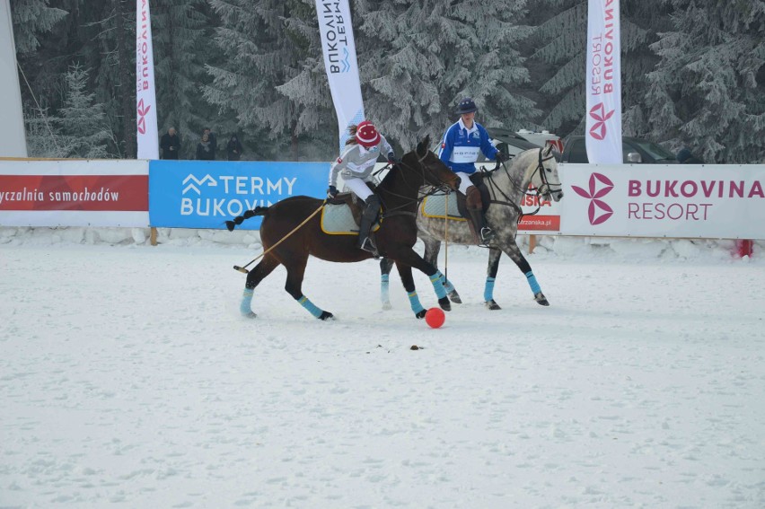 Bukowina Tatrzańska. Grali z polo na śniegu [ZDJĘCIA]