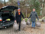Służby nie posprzątały liści, więc liście przyjechały do służb. Opozycja w Gdyni wyręczyła samorząd