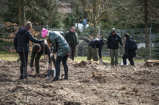 Nowa remiza zajmuje obszar 20 arów. W jej tworzeniu leśnikom z Nadleśnictwa Karnieszewice pomagali wolontariusze, harcerze i młodzież z SOS Wiosek Dziecięcych.