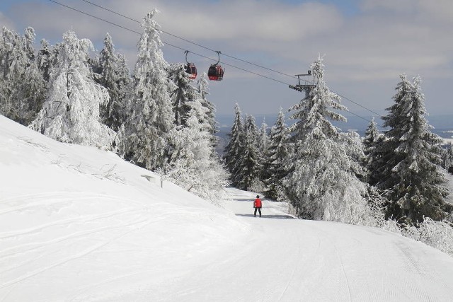 Jaworzyna Krynicka kusi m.in. gondolą, dwoma krzesełkami, a także ponad 8 km tras zjazdowych