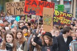 Poznań: Młodzieżowy Strajk Klimatyczny na Półwiejskiej - uczniowie zamiast do szkoły przyszli strajkować [ZDJĘCIA]