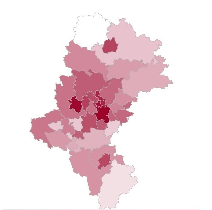 Bielsko-Biała - 35,53 procent głosów