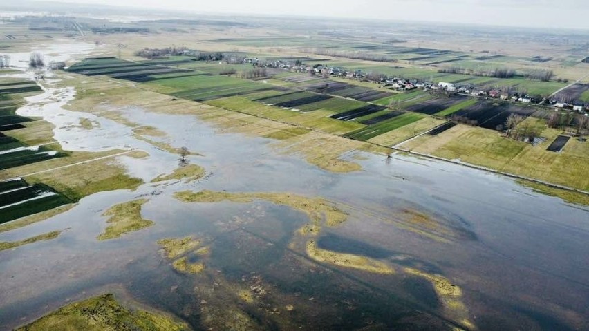 Nida w gminie Nowy Korczyn wystąpiła z brzegów.