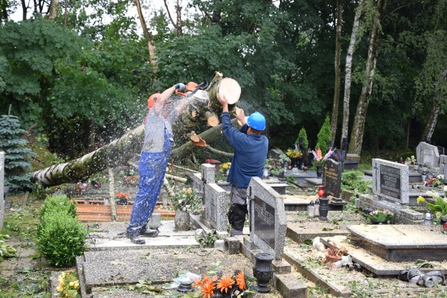 Na terenie nekrpolii pracuje wciąż ekipa aministratora usuwająca powalone drzewa. Pracują tak, aby nie uszkodzić nagrobków.