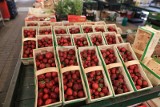 Spadają ceny truskawek, na rynku coraz więcej polskich
