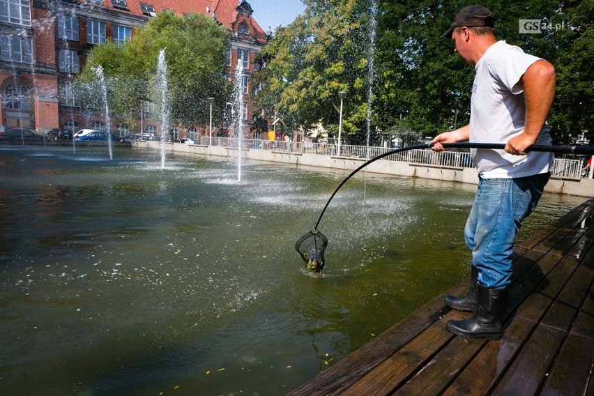 Sprzątanie fontanny w Szczecinie. Kiedy kolejne? [ZDJĘCIA]                           