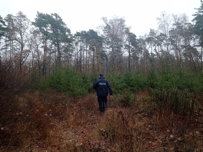 Policja z Włocławka, wraz ze strażą leśną, kontroluje...