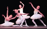 Wielki sukces małych artystek z wrocławskiej Szkoły Baletowej Capitol