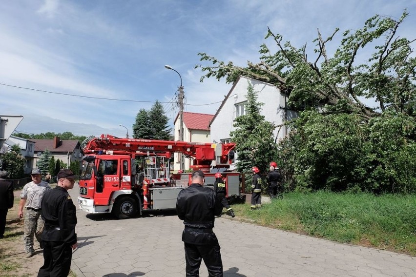 Straż pożarna ze specjalistycznym sprzętem usuwa drzewo,...