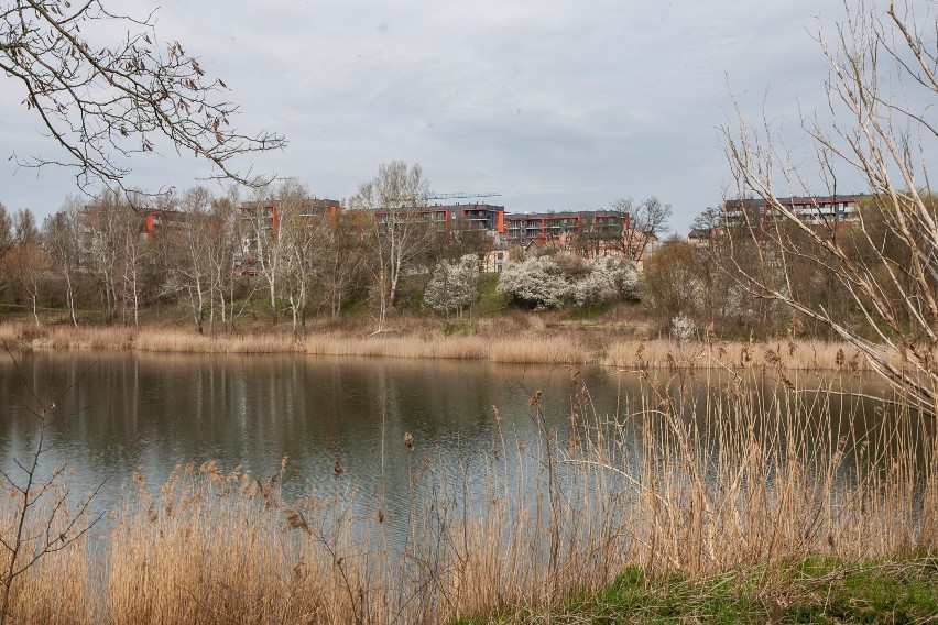 Bydgoszcz ma szansę zyskać nowy park z wyrównanymi alejkami,...