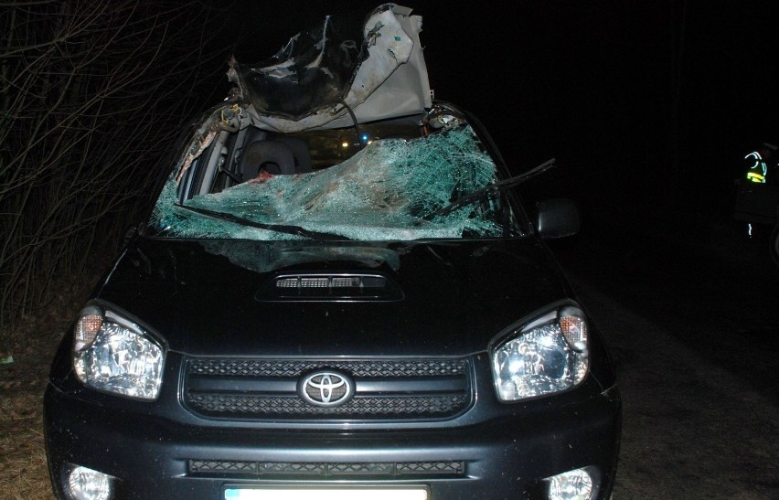 Gmina Parchowo. Potrącony jeleń spadł na samochód i zabił pasażerkę [ZDJĘCIA]