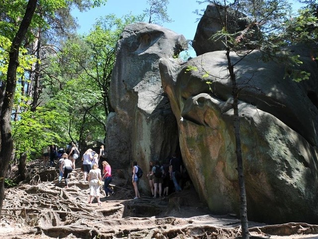 Prządki, zlokalizowane na granicy miejscowości Czarnorzeki i Korczyna, to perła podkarpackich rezerwatów geologicznych. To też jedna z największych turystycznych atrakcji Podkarpacia, odwiedzana rocznie przez ok. 100 tys. turystów.