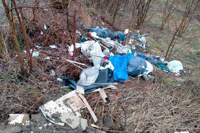 Dzikie wysypisko śmieci ujawnione w Brzozowie.