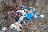 Dzięki Krajowej Mapie Zagrożeń ujawniono nielegalne wysypisko śmieci w Brzozowie [ZDJĘCIA]