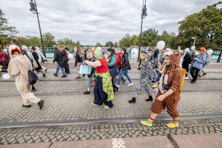 Animal Love Parade 2019 w Poznaniu rozpoczęła się w sobotę o...