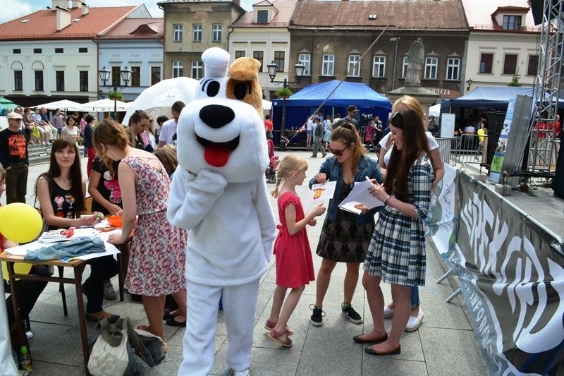 Beskidzki Festiwal Nauki i Sztuki w Bielsku-Białej.