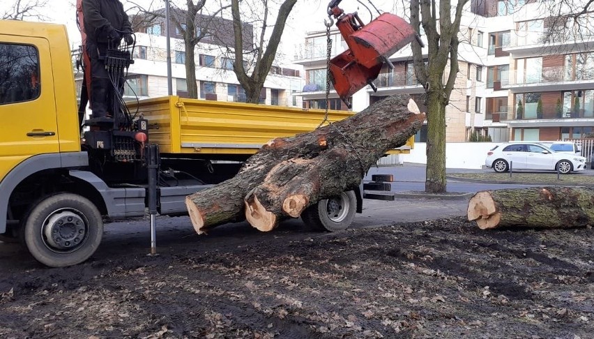 W parku na Cytadeli pojawiły się kłody blokujące wjazd...