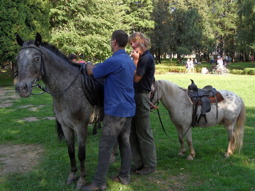 Święto Czekolady 2013 w Tychach