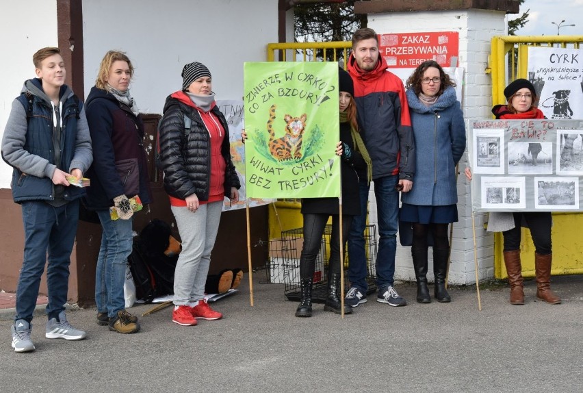 Protest przeciw cyrkowi w Ostrołęce. Bardzo skromny (zdjęcia)